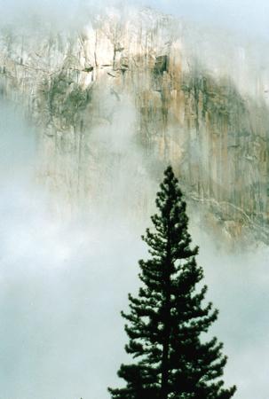 Yosemite in fog tb
