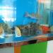 IMG 8818