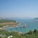 IMG 8875