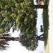 IMG 4119.JPG