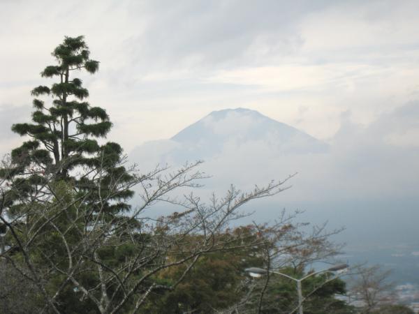 IMG 8019.JPG
