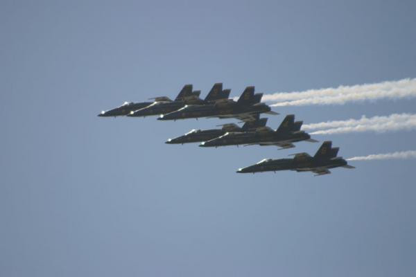 IMG 4253