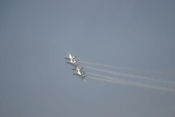 IMG 4296