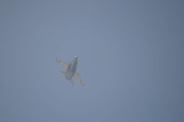 IMG 4347
