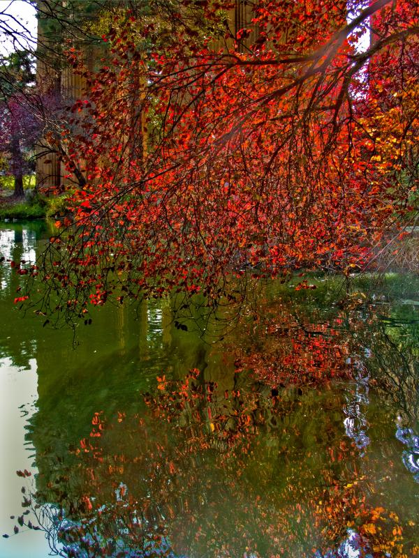 Reflections, Palace of Fine Arts, SF