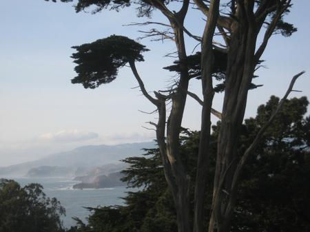 EnjoyingTheViewFromTheLegionOfHonor SanFrancisco tb