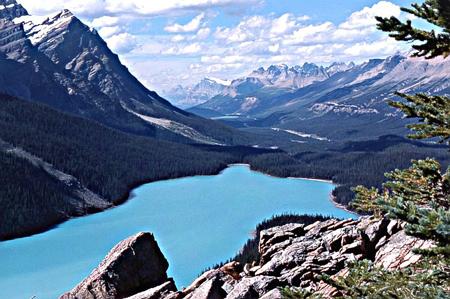 Peyto Lake tb