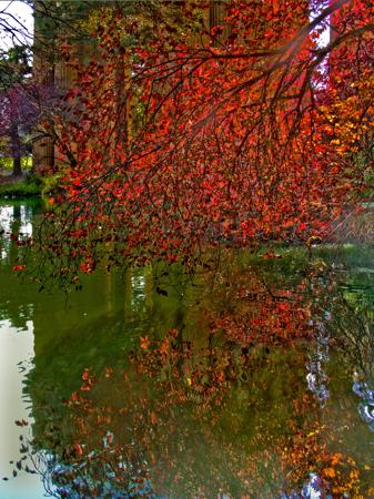 Reflections, Palace of Fine Arts, SF tb