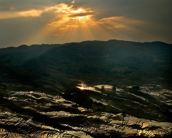 Rice Terraces