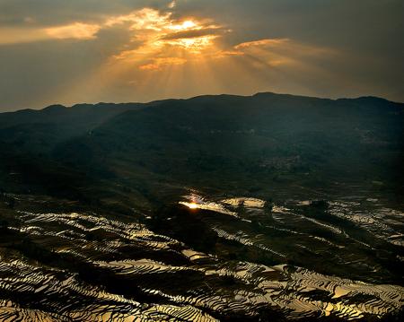 Rice Terraces tb