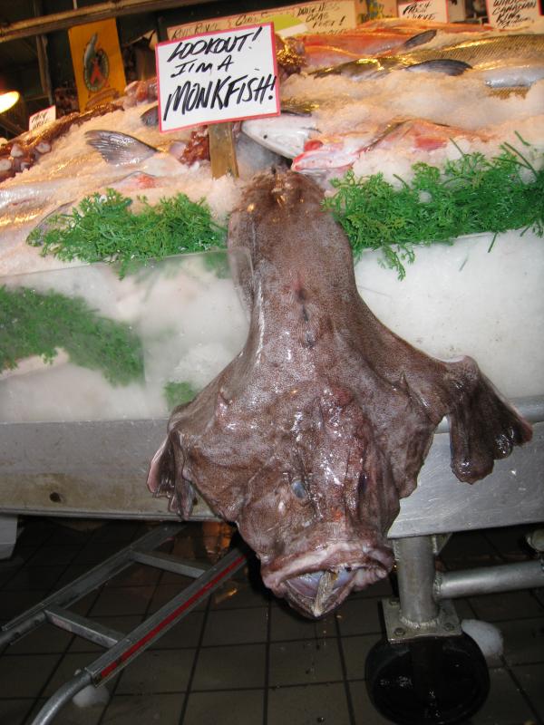 MonkFish