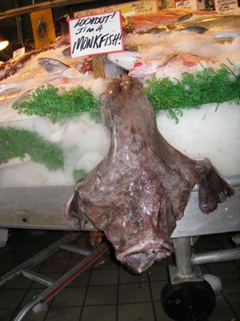 MonkFish tb