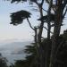 Enjoying the view from the Legion of Honor, San Francisco.JPG