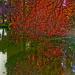 Reflections, Palace of Fine Arts, SF tb